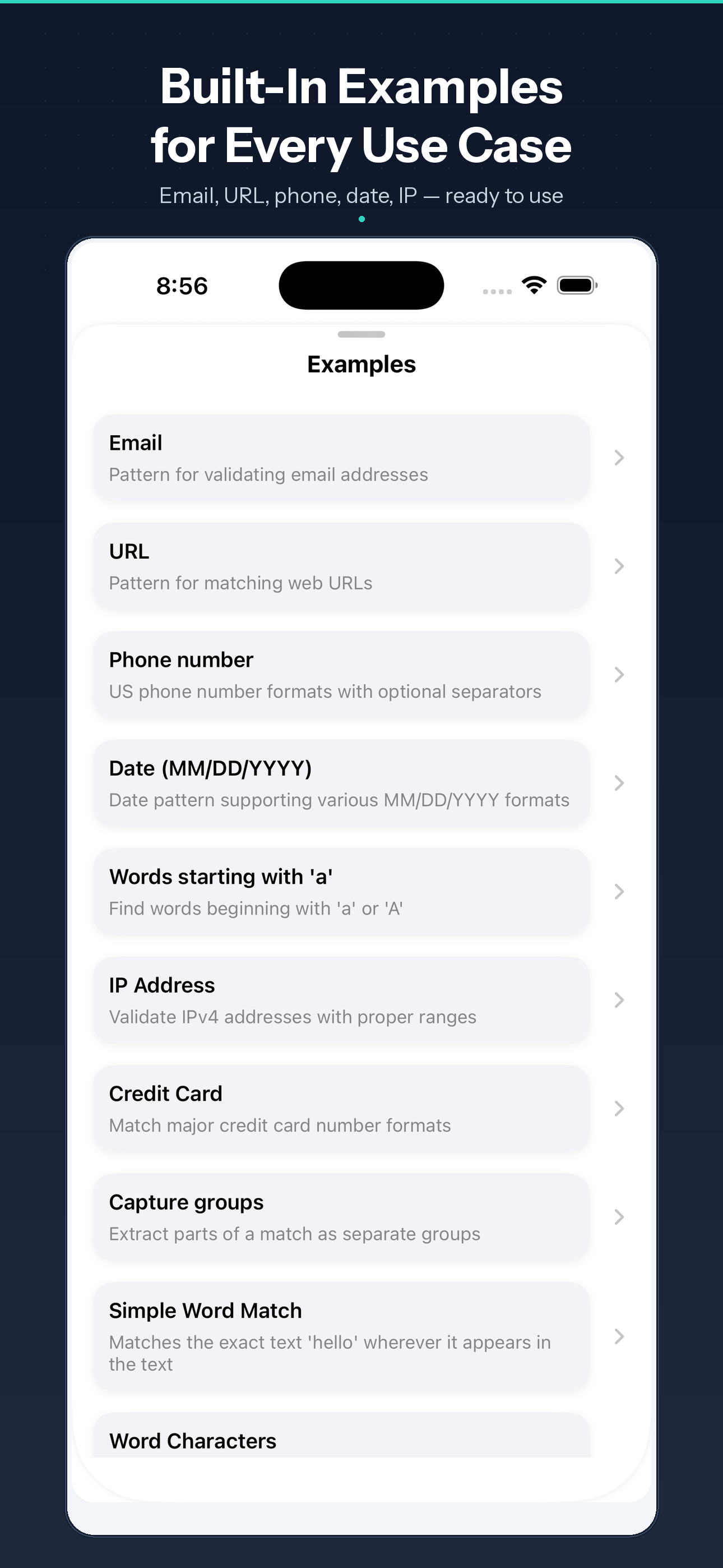 RegExpress ios Screenshot 3
